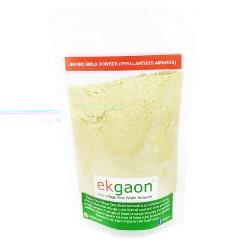 Bhumi Amla Powder (Phyllanthus amarus) (200g)