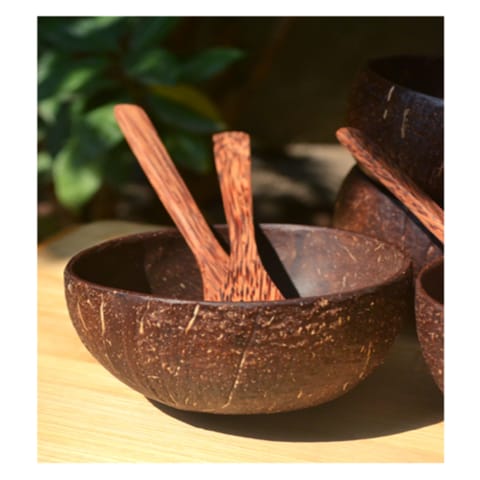 Coconut Bowl & Cutlery Set Combo