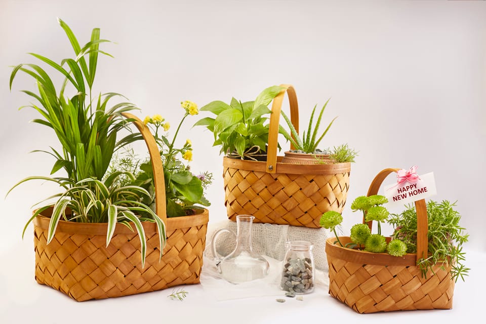 Multipurpose Grocery Basket