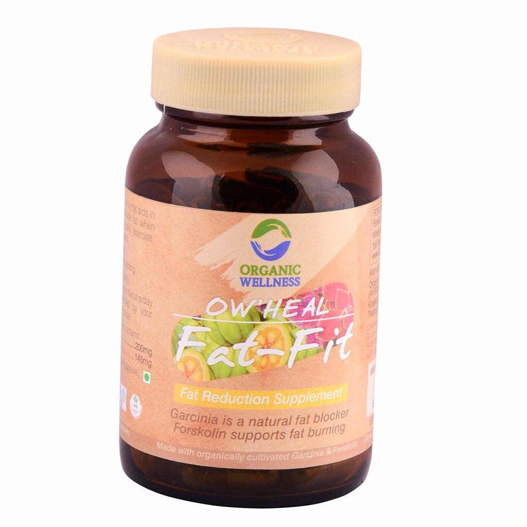 Fat Fit 90 Capsules Bottle