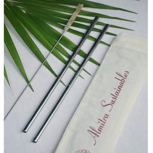 Stainless Steel straw (Straight) Pack of 2 with 1 Cleaner