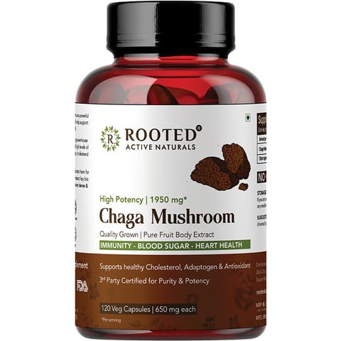 Chaga - Capsule