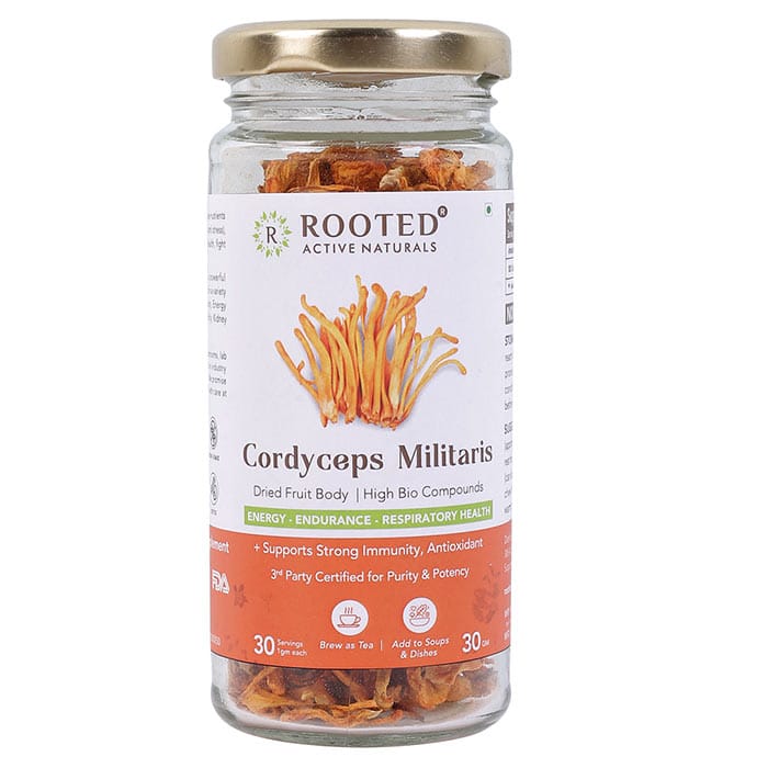 Cordyceps Militaris