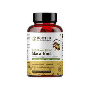 Maca Root & Reishi - Capsule