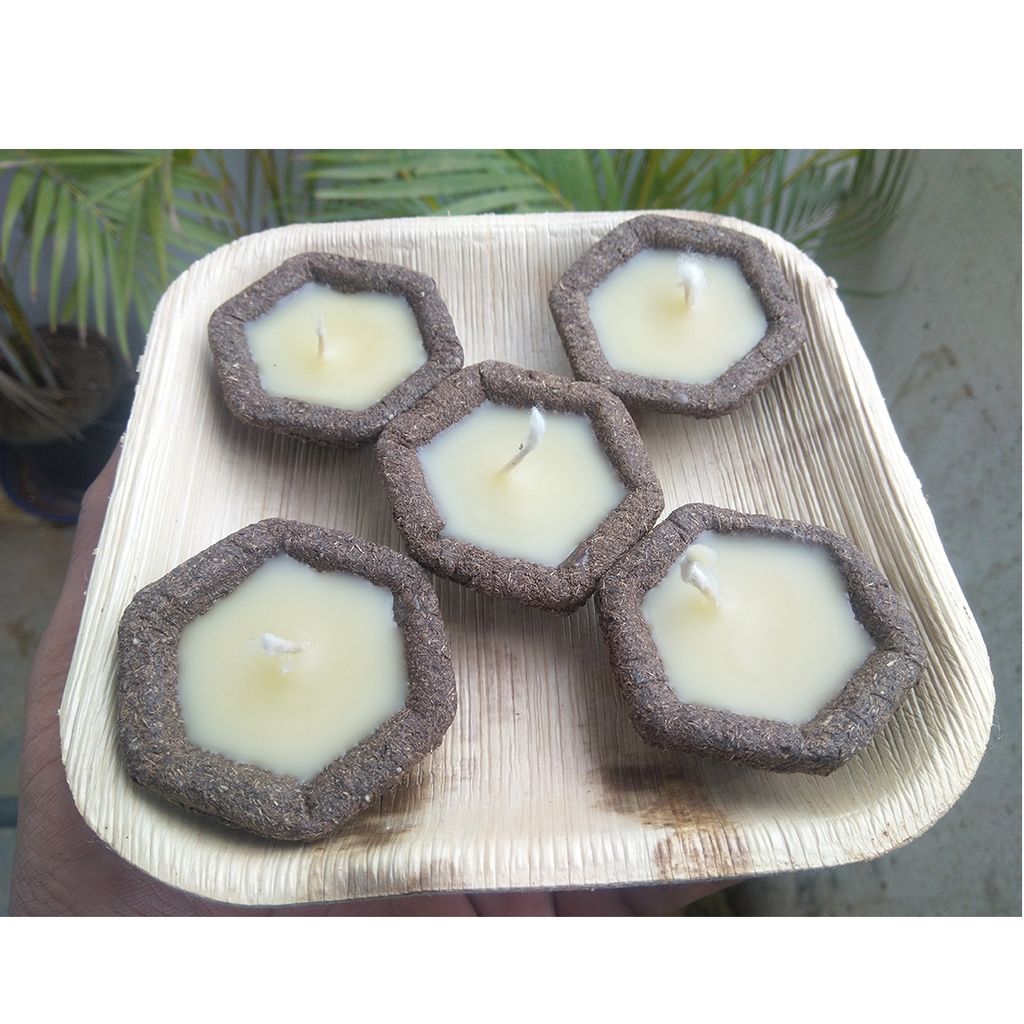 Panchagavya Cow Ghee Diyas (Pack of 5)