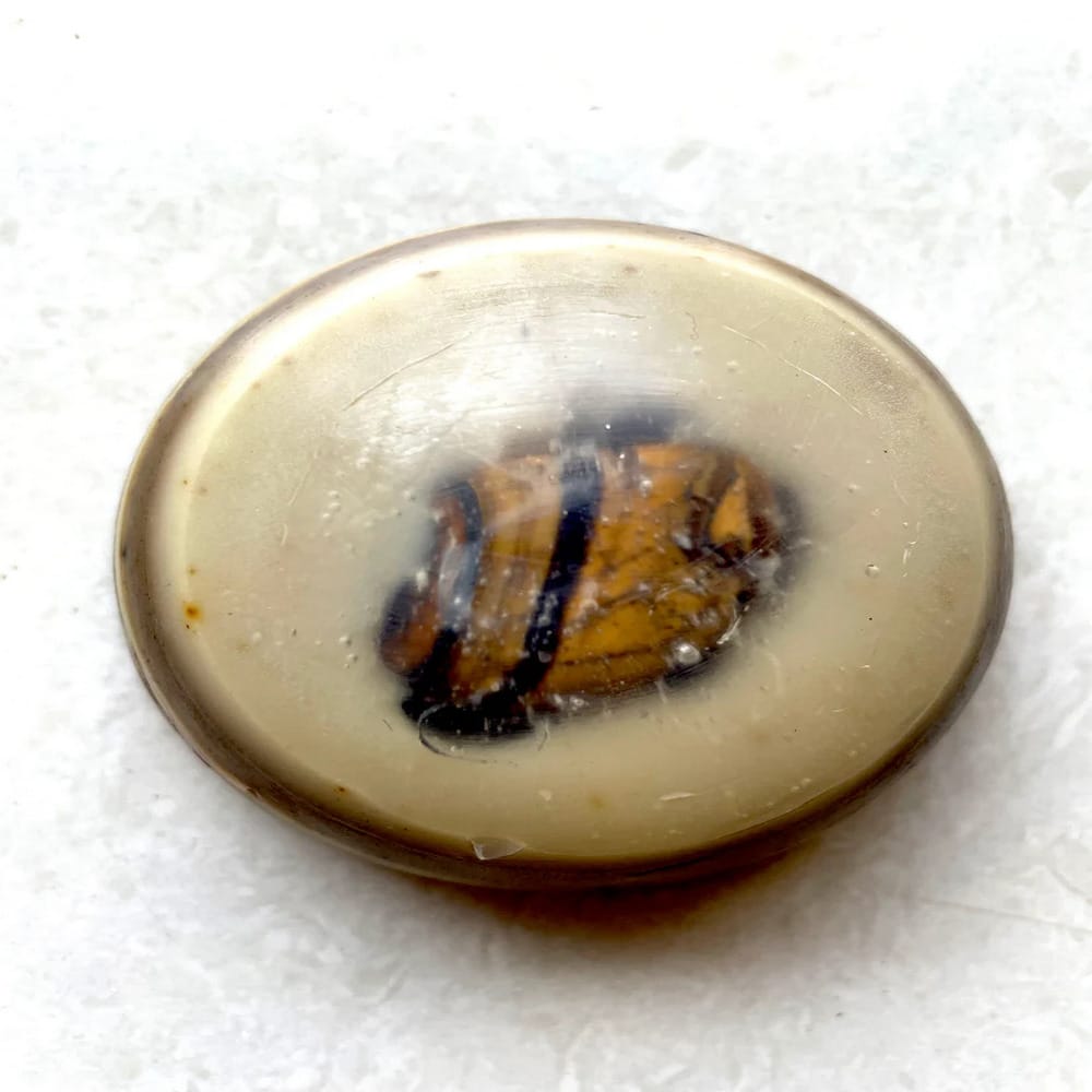 Tiger Eye - Ubtan, Coffee, Shea Butter Soap 150 gms