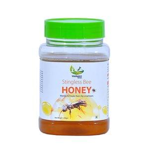 Stingless Bee Honey - 250 gms