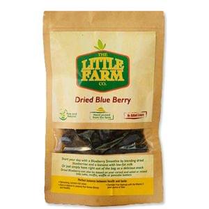 Dried Blue Berry - 100 gms