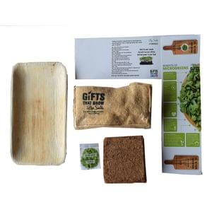 Micro Green Kits : Radish 300 gms