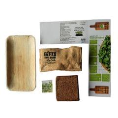 Micro Green Kits : Fenugreek 300 gms