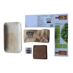 Micro Green Kits : Beetroot 300 gms