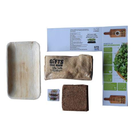 Micro Green Kits : Beetroot 300 gms