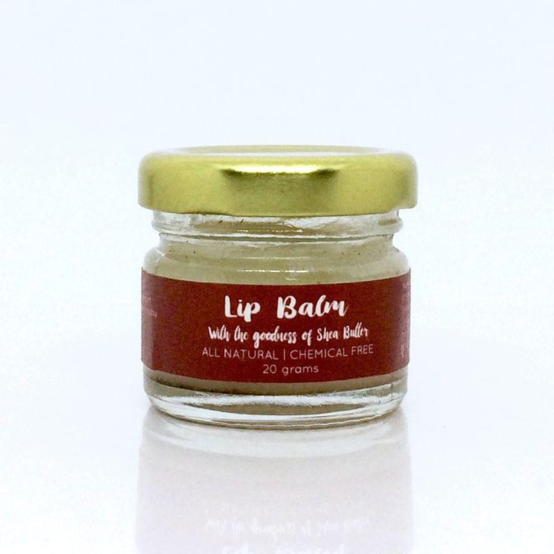 Peppermint Lip Balm - 20 gms