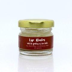 Peppermint Lip Balm - 20 gms