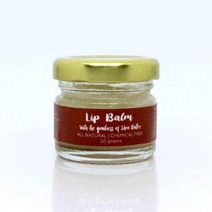 Peppermint Lip Balm - 20 gms