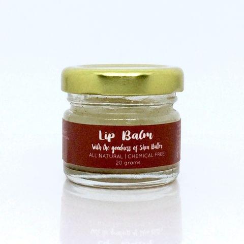 Peppermint Lip Balm - 20 gms