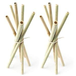 Bamboo Straws - Combo Pack of 12