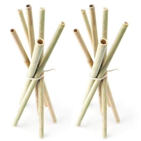 Bamboo Straws - Combo Pack of 12